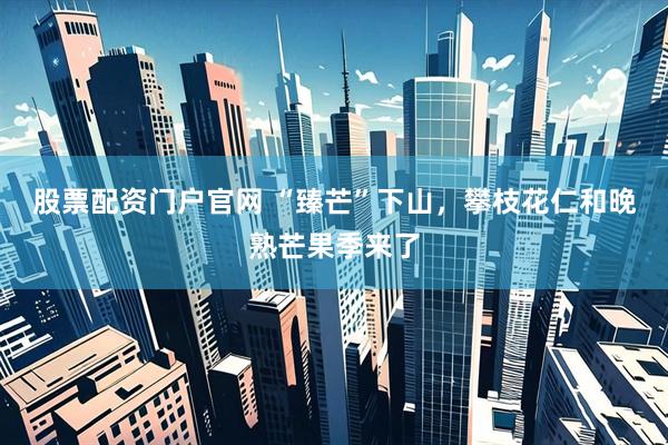 股票配资门户官网 “臻芒”下山，攀枝花仁和晚熟芒果季来了