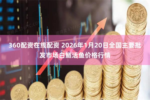 360配资在线配资 2026年1月20日全国主要批发市场白鲢活鱼价格行情
