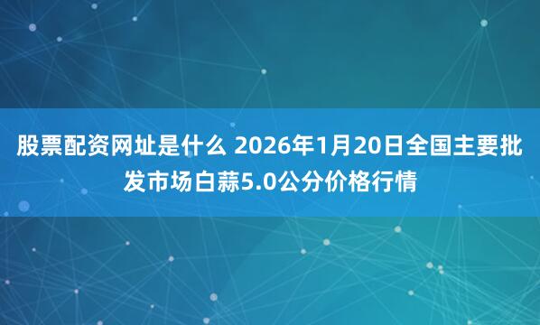 股票配资网址是什么 2026年1月20日全国主要批发市场白蒜5.0公分价格行情
