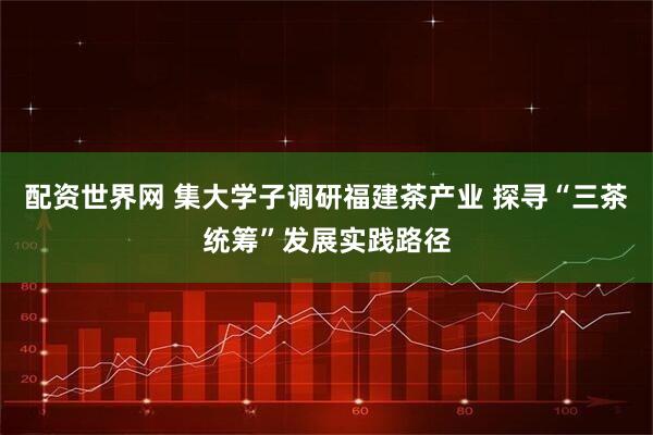 配资世界网 集大学子调研福建茶产业 探寻“三茶统筹”发展实践路径