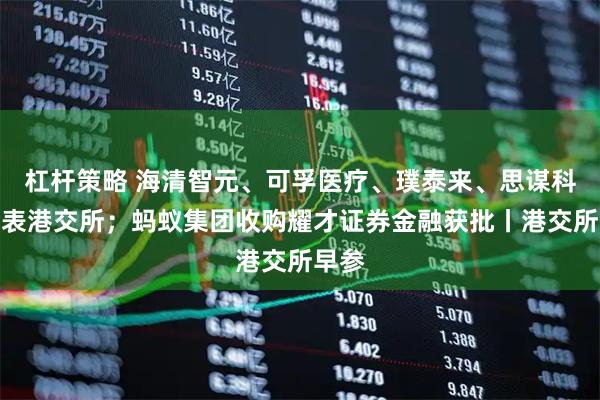杠杆策略 海清智元、可孚医疗、璞泰来、思谋科技递表港交所；蚂蚁集团收购耀才证券金融获批丨港交所早参